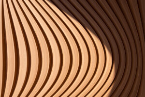 Evolving Lender Landscape in Fund Finance