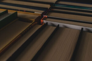 Subscription Finance: Understanding Umbrella Facilities