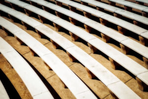 Subscription Finance: Fraud as an Exclusion Event